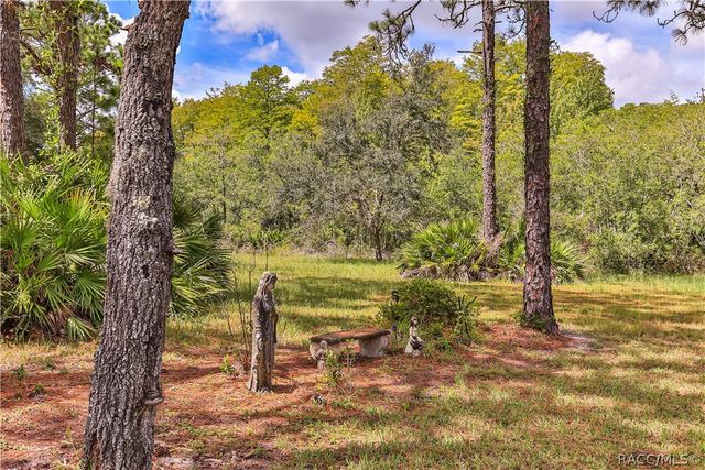 1595 N DUNKENFIELD Avenue, Crystal River, FL 34429