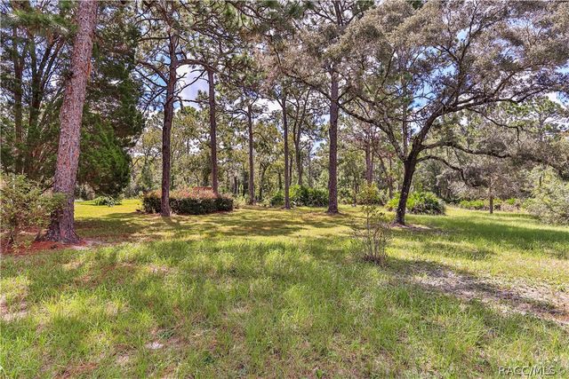 1595 N DUNKENFIELD Avenue, Crystal River, FL 34429