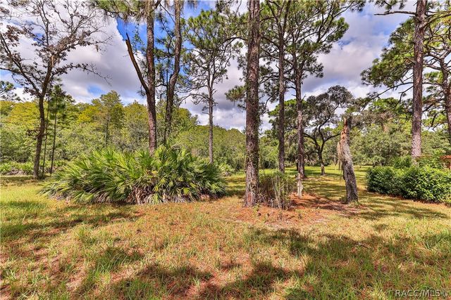1595 N DUNKENFIELD Avenue, Crystal River, FL 34429