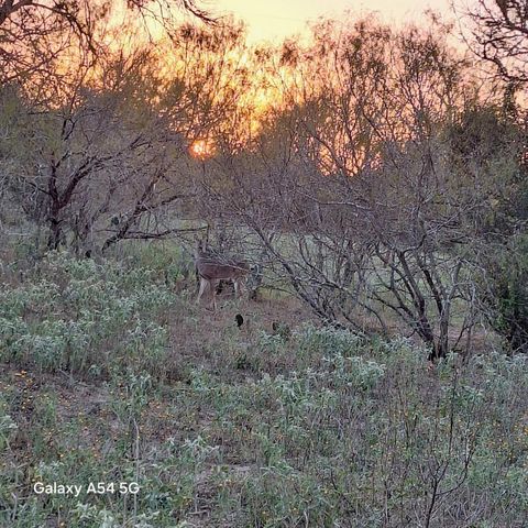 326 The Forest RD, Dale, TX 78616