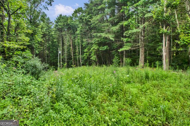 265 Holly Hill Road, Suches, GA 30572