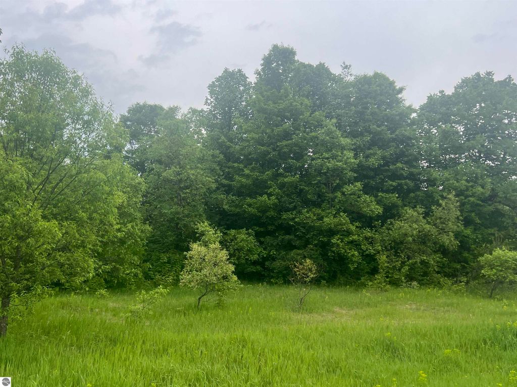 Image 1 of property listing at 00 Wood Road, NE, Kalkaska, MI 49646