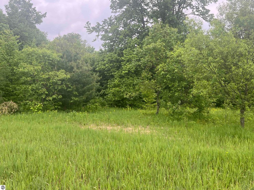 Image 2 of property listing at 00 Wood Road, NE, Kalkaska, MI 49646