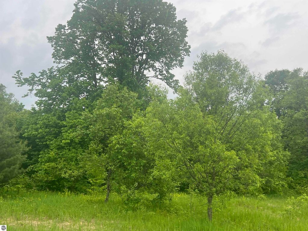 Image 3 of property listing at 00 Wood Road, NE, Kalkaska, MI 49646