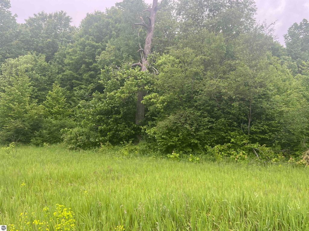 Image 4 of property listing at 00 Wood Road, NE, Kalkaska, MI 49646