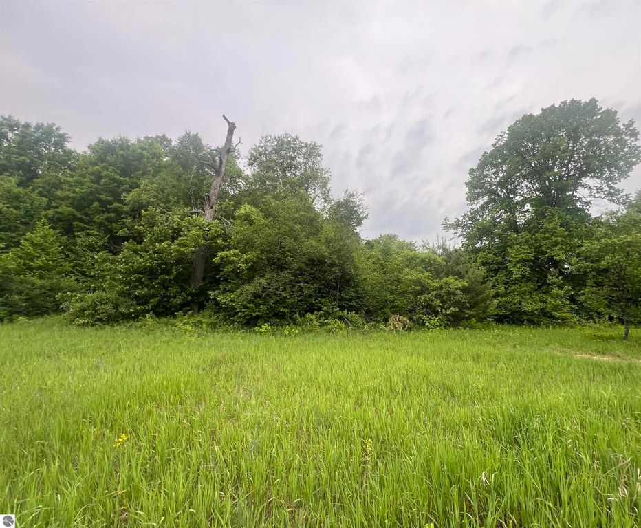 Image 5 of property listing at 00 Wood Road, NE, Kalkaska, MI 49646