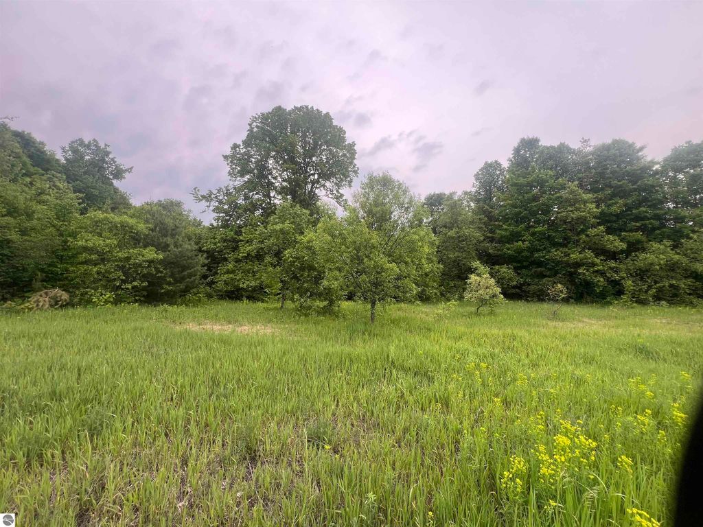 Image 6 of property listing at 00 Wood Road, NE, Kalkaska, MI 49646