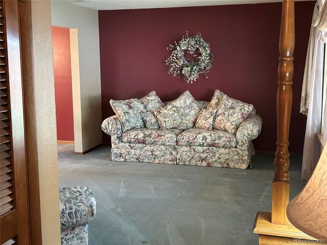 12924 St Paul Ct, Thornton, CO 80241