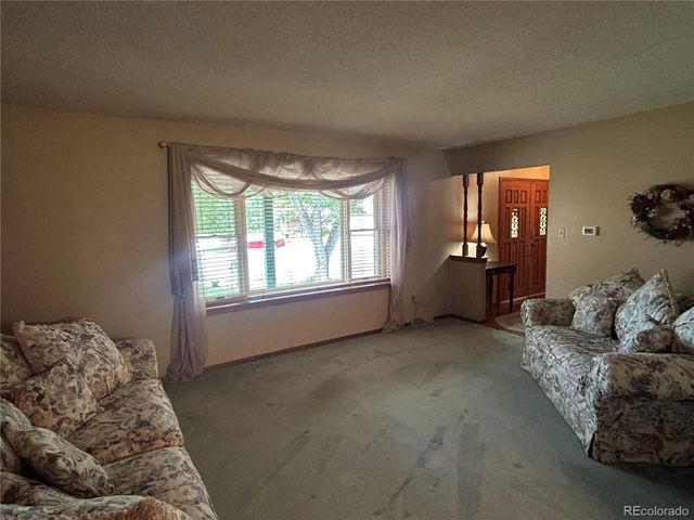 12924 St Paul Ct, Thornton, CO 80241