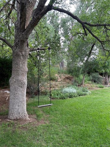 12924 St Paul Ct, Thornton, CO 80241
