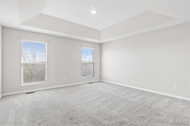 256 Savannah Ridge Court, Fenton, MO 63026