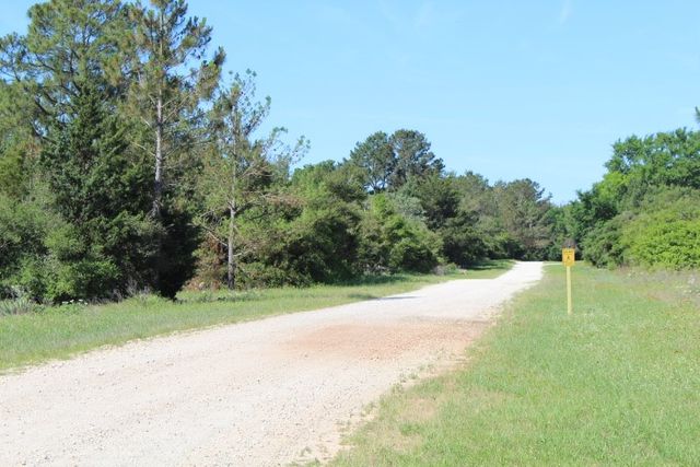 Lot 3 Limestone Drive, Normangee, TX 77871