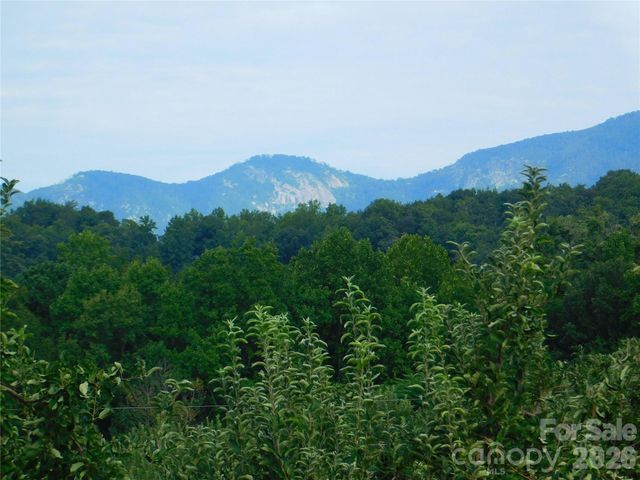 296 Acorn Lane, Rutherfordton, NC 28139