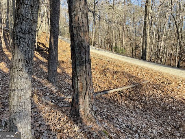 2458 Montage Drive 2458, Ellijay, GA 30540