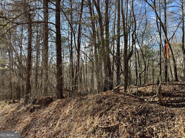 2458 Montage Drive 2458, Ellijay, GA 30540