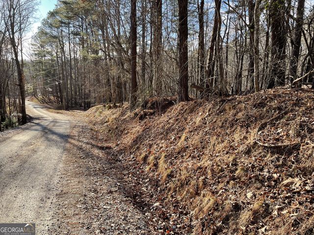 2458 Montage Drive 2458, Ellijay, GA 30540