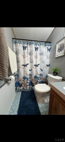 2711 E Carleton Road, Adrian, MI 49221