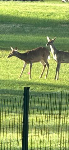 2711 E Carleton Road, Adrian, MI 49221