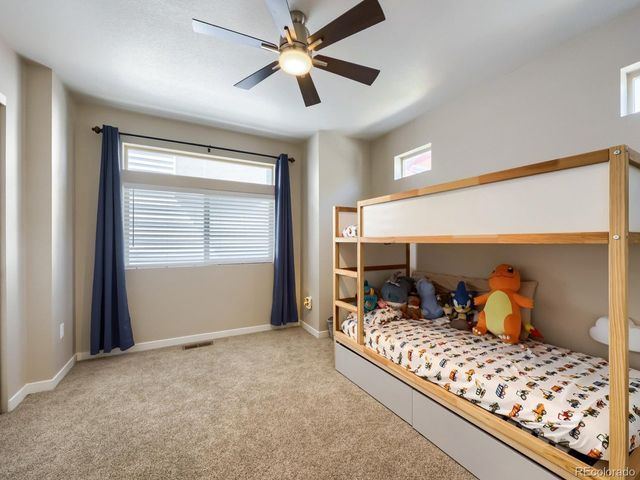 4388 Vindaloo Dr, Castle Rock, CO 80109