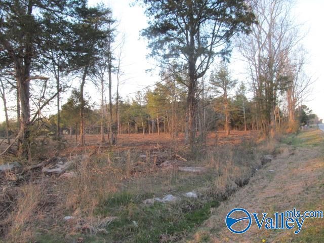 15 Hogs Lane, Albertville, AL 35951