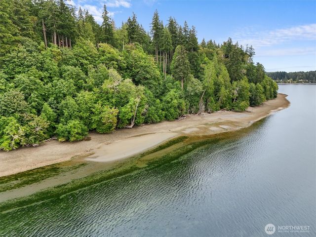 14025 96th Street Ct, Anderson Island, WA 98303