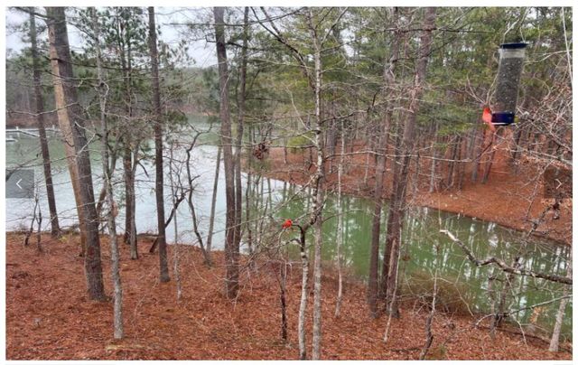 307 Superior Cove, Mc Cormick, SC 29835