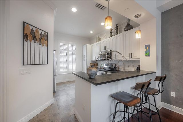 2210 SOHO BAY COURT, Tampa, FL 33606