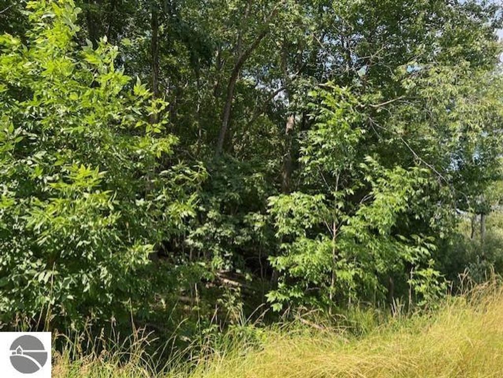 Image 10 of property listing at 00 Ninth Avenue, Tawas City, MI 48763