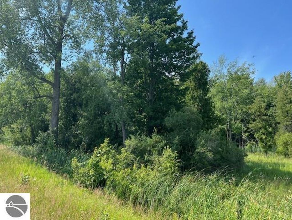 Image 11 of property listing at 00 Ninth Avenue, Tawas City, MI 48763