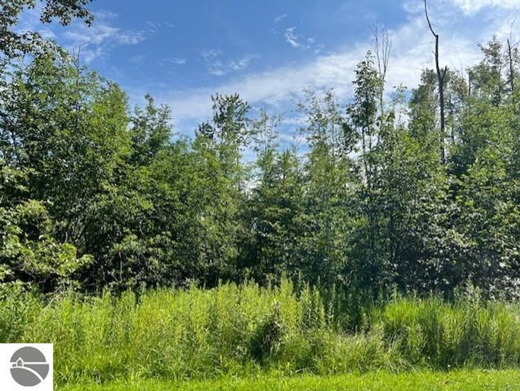 Image 3 of property listing at 00 Ninth Avenue, Tawas City, MI 48763