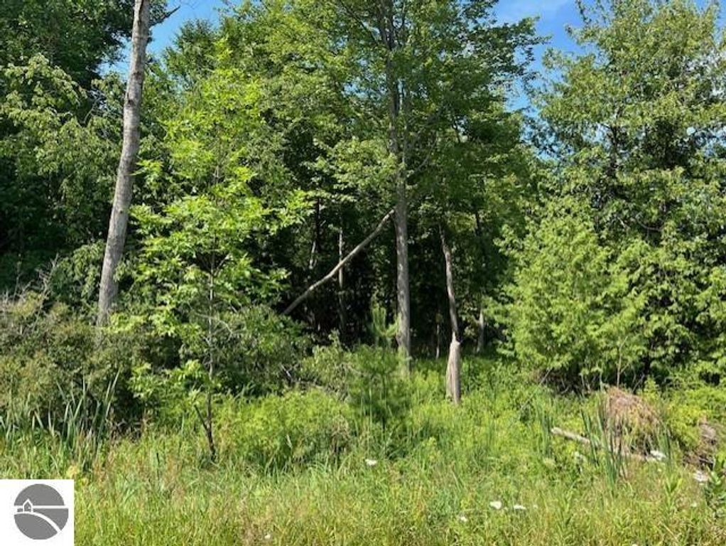 Image 9 of property listing at 00 Ninth Avenue, Tawas City, MI 48763