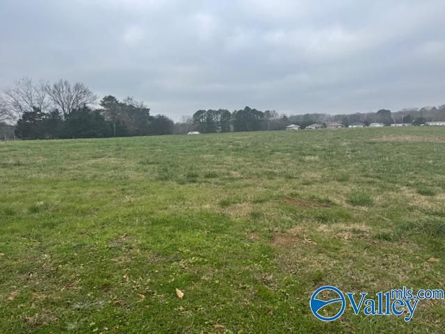 TRACT 7 Alabama Highway 99, Elkmont, AL 35620