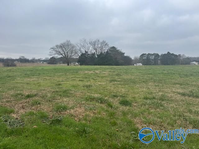 TRACT 7 Alabama Highway 99, Elkmont, AL 35620