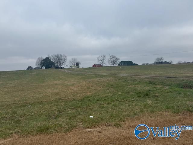 TRACT 7 Alabama Highway 99, Elkmont, AL 35620