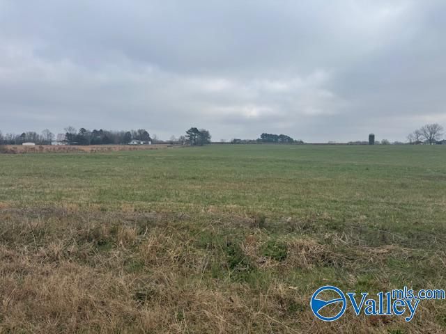 TRACT 7 Alabama Highway 99, Elkmont, AL 35620