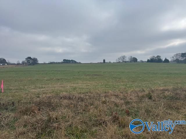 TRACT 7 Alabama Highway 99, Elkmont, AL 35620