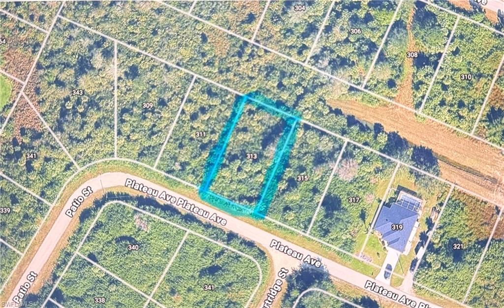 313 Plateau AVE, LEHIGH ACRES, FL 33974 — exterior