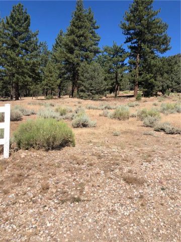 1137 Live Oak, Big Bear, CA 92314