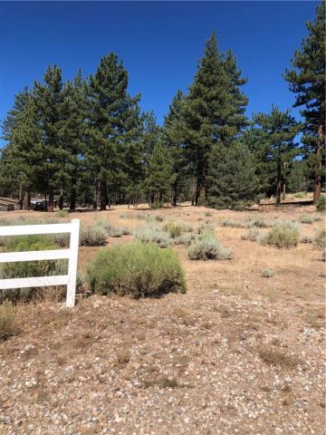 1137 Live Oak, Big Bear, CA 92314