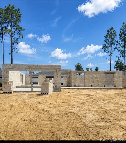 8441 N Inca Way, Dunnellon, FL 34434