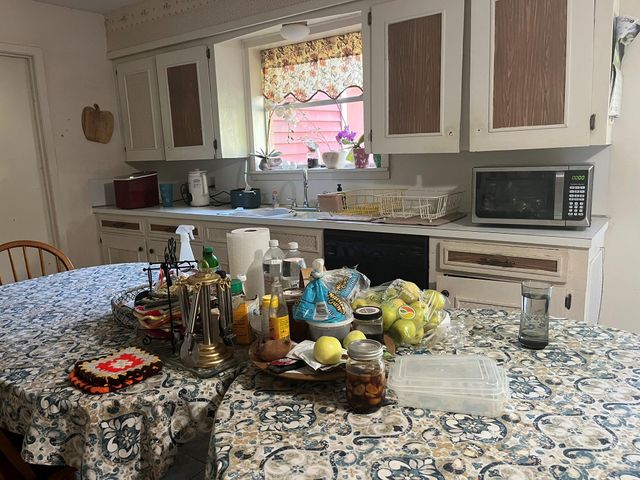 503 Guiceland Drive, Grapeland, TX 75844