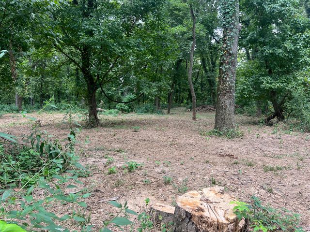 Tbd Park Street, Noel, MO 64854