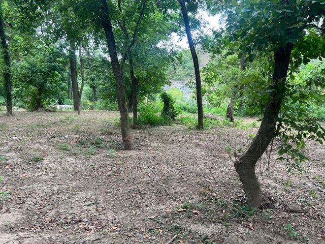 Tbd Park Street, Noel, MO 64854