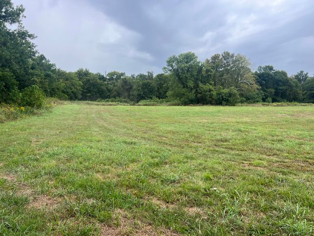 Tbd Park Street, Noel, MO 64854