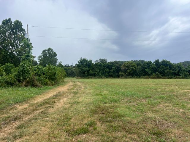 Tbd Park Street, Noel, MO 64854