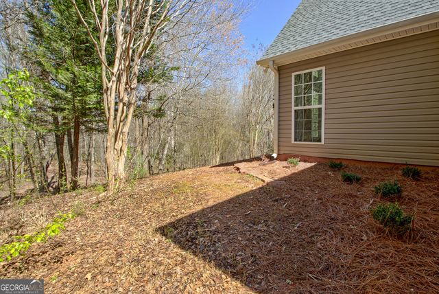300 Autumn Creek, Senoia, GA 30276