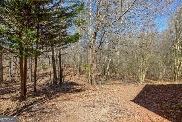 300 Autumn Creek, Senoia, GA 30276