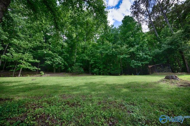 4688 Hide-A-Way Drive, Guntersville, AL 35796