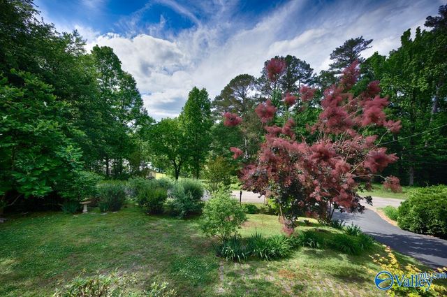 4688 Hide-A-Way Drive, Guntersville, AL 35796