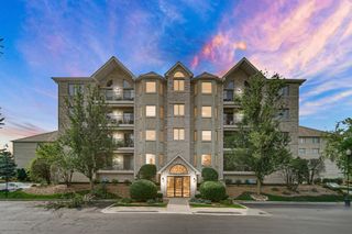 11851 Windemere Court 201, Orland Park, IL 60467